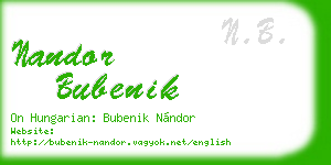 nandor bubenik business card
